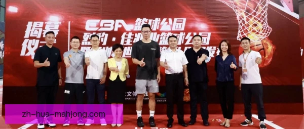深圳男篮传统队徽演变：烈豹印记如何走进新纪元